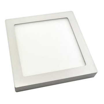 LED Takbelysning RIKI-P LED SMD/18W/230V 225x225 mm