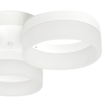 LED Takbelysning RING 3xLED/12W/230V vit
