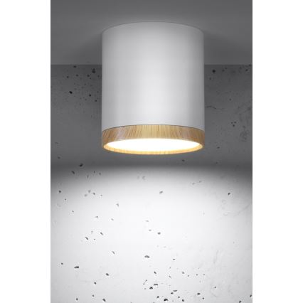LED Takbelysning TUBA LED/5W/230V vit/beige