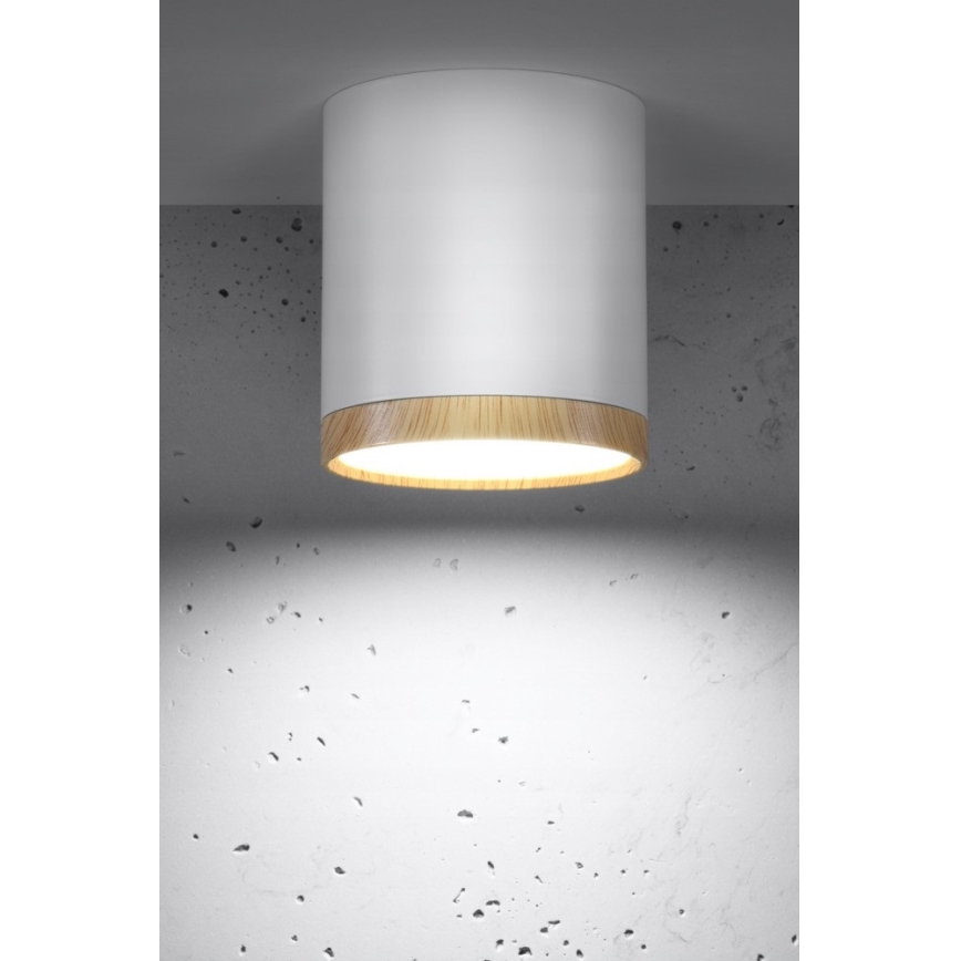 LED Takbelysning TUBA LED/5W/230V vit/beige