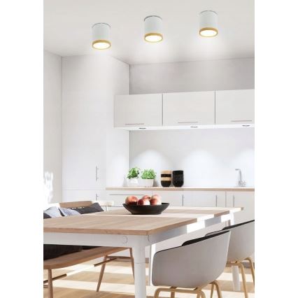 LED Takbelysning TUBA LED/5W/230V vit/beige