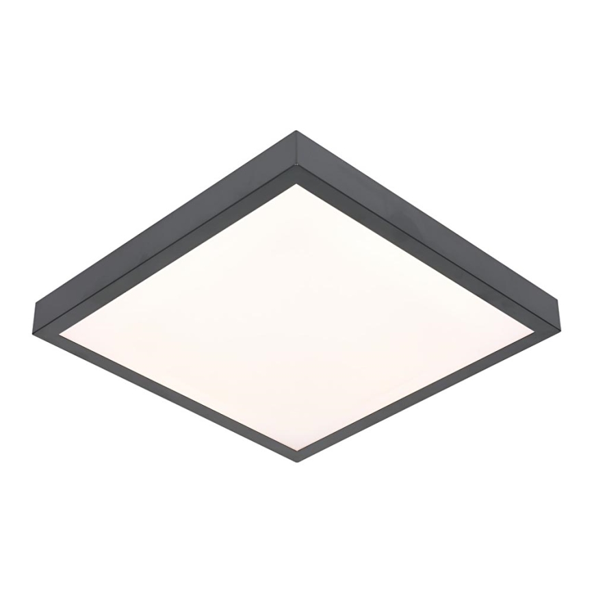 LED Takbelysning VITALI LED/24W/230V