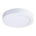 LED-taklampa 18W/230V 3000/4000/6000K Ø 22,5 cm vit