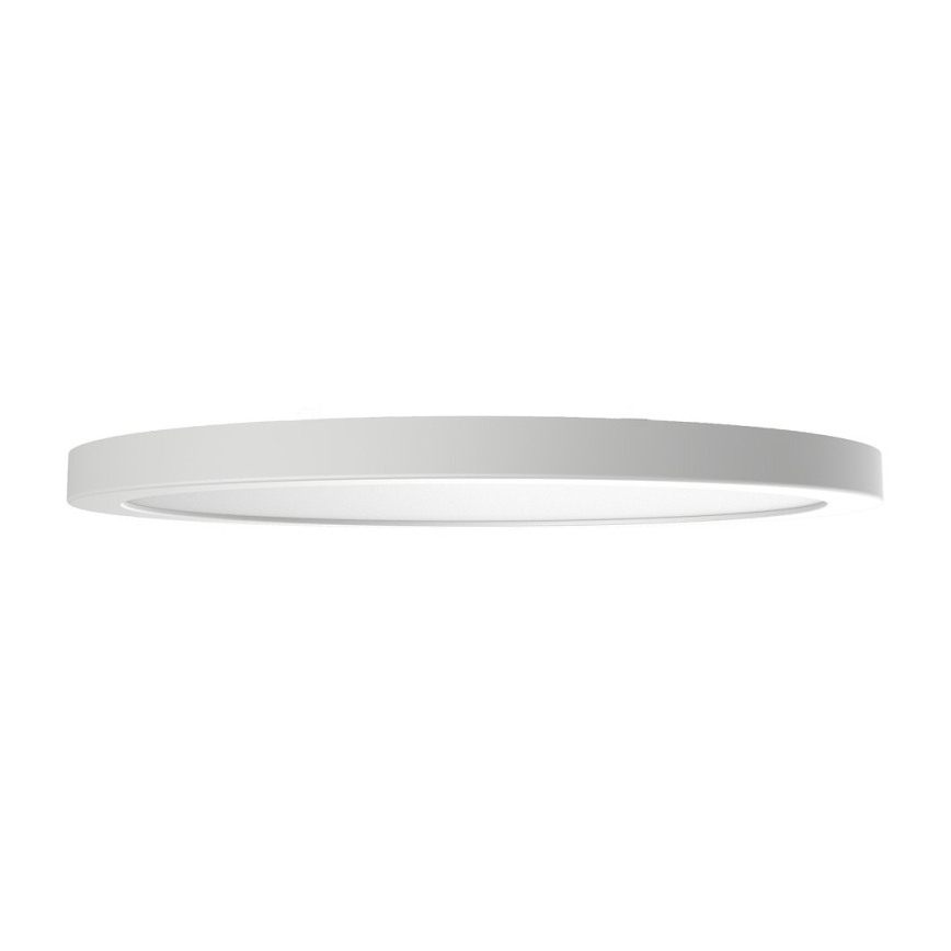 LED-taklampa EVORA LED/24W/230V 3000/4000/6000K Ø30 cm vit