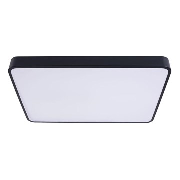 LED taklampa FELIZ LED/40W/230V 4000K 40x40 cm svart
