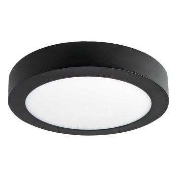 LED taklampa FENIX LED/12W/230V 3800K diameter  17 cm