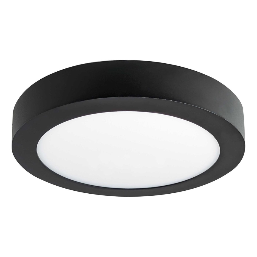 LED taklampa FENIX LED/12W/230V 3800K diameter  17 cm