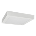 LED taklampa FENIX LED/24W/230V 3800K 29,8 cm