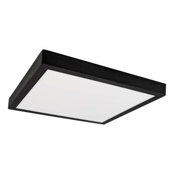 LED taklampa FENIX LED/24W/230V 3800K 29,8 cm