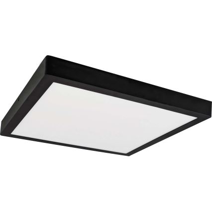 LED taklampa FENIX LED/24W/230V 3800K 29,8 cm