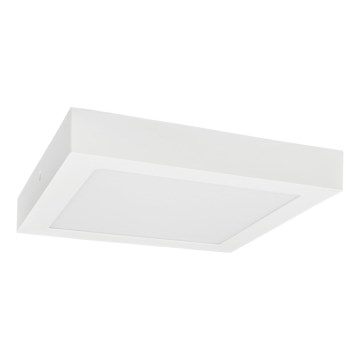 LED taklampa FENIX LED/24W/230V 3800K 29,8 cm snö vit