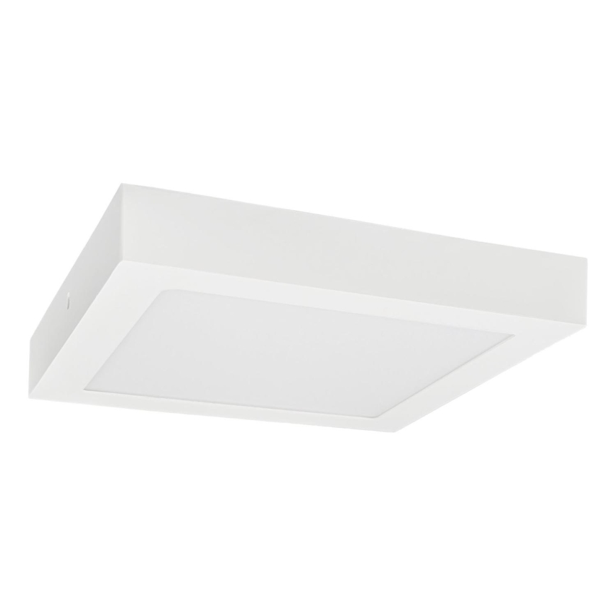 LED taklampa FENIX LED/24W/230V 3800K 29,8 cm snö vit