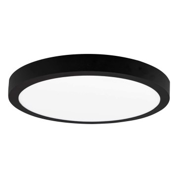 LED taklampa FENIX LED/24W/230V 3800K diameter  29,8 cm