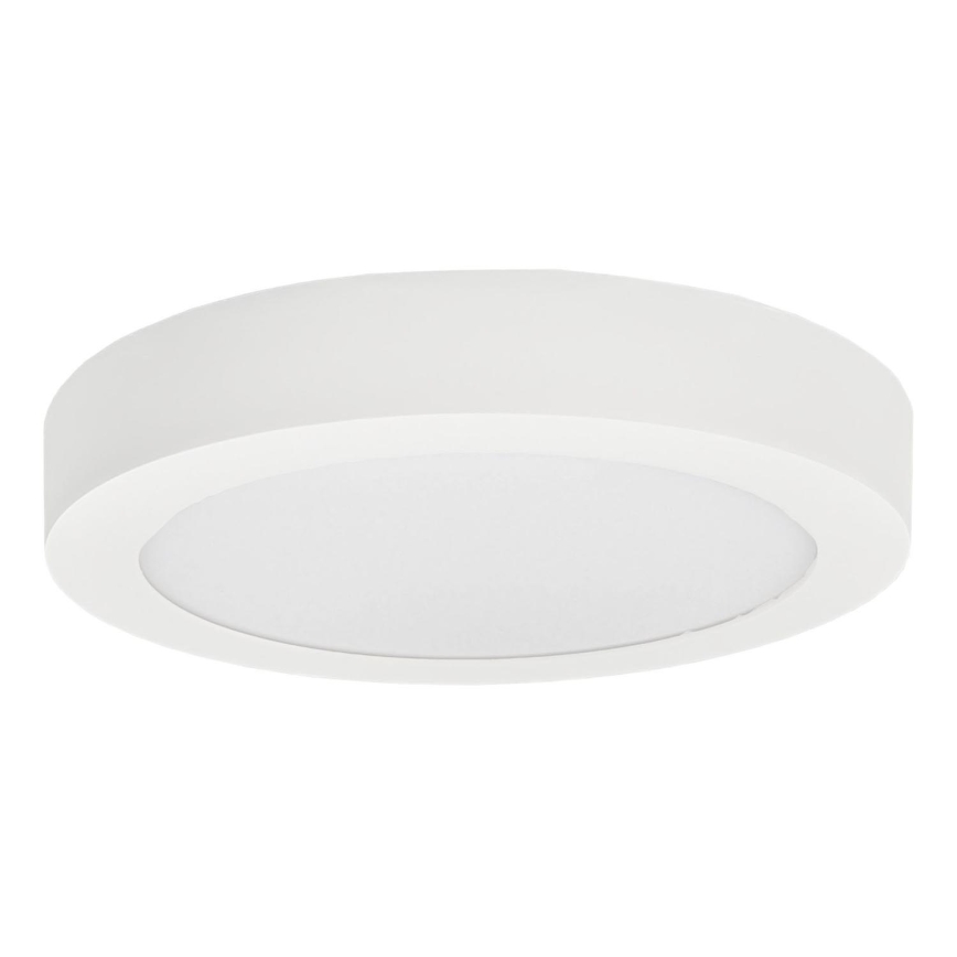 LED taklampa FENIX LED/24W/230V 3800K diameter 29,8 cm snö vit