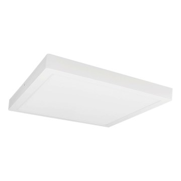 LED taklampa FENIX LED/32W/230V 3800K 40 cm snö vit