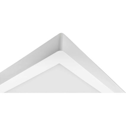 LED taklampa FENIX LED/32W/230V 3800K 40 cm snö vit