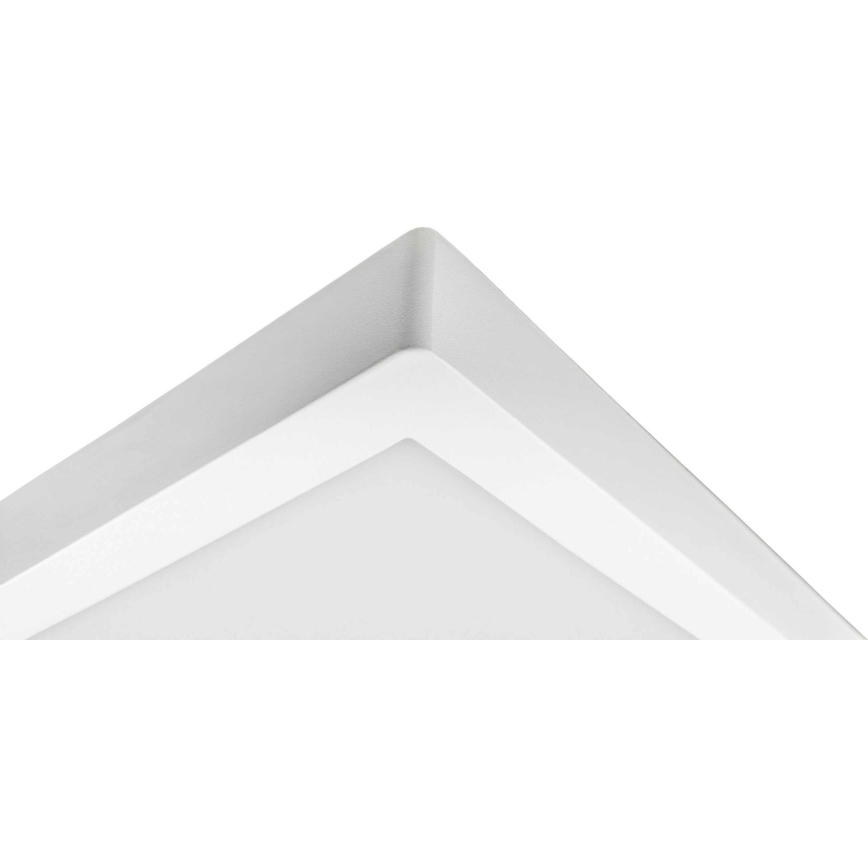 LED taklampa FENIX LED/32W/230V 3800K 40 cm snö vit