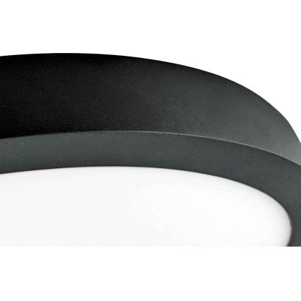 LED taklampa FENIX LED/32W/230V 3800K diameter  40 cm