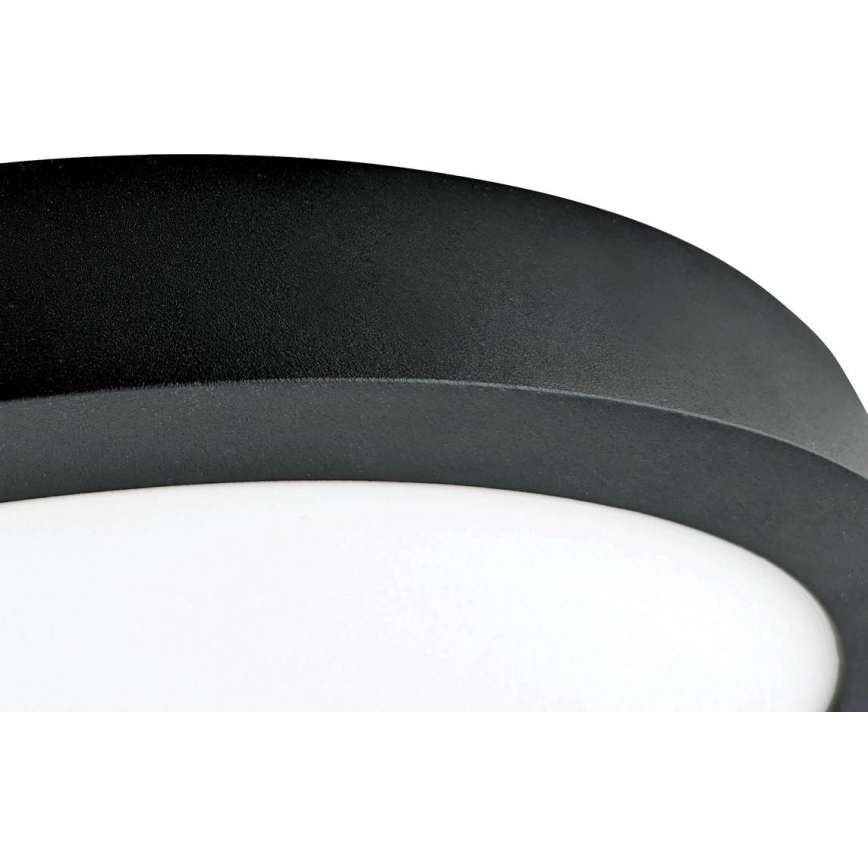 LED taklampa FENIX LED/32W/230V 3800K diameter  40 cm