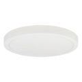 LED taklampa FENIX LED/32W/230V 3800K diameter 40 cm snö vit