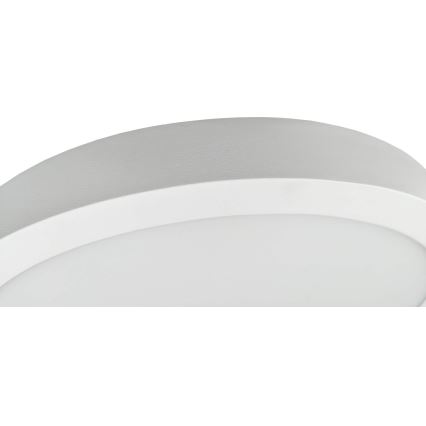 LED taklampa FENIX LED/32W/230V 3800K diameter 40 cm snö vit