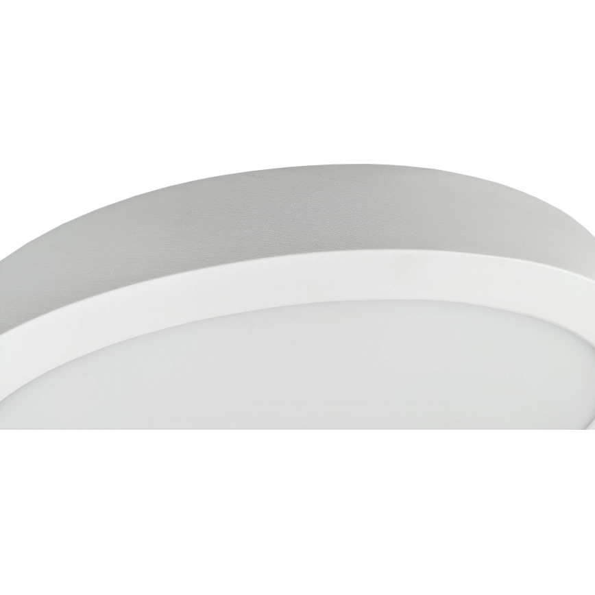 LED taklampa FENIX LED/32W/230V 3800K diameter 40 cm snö vit