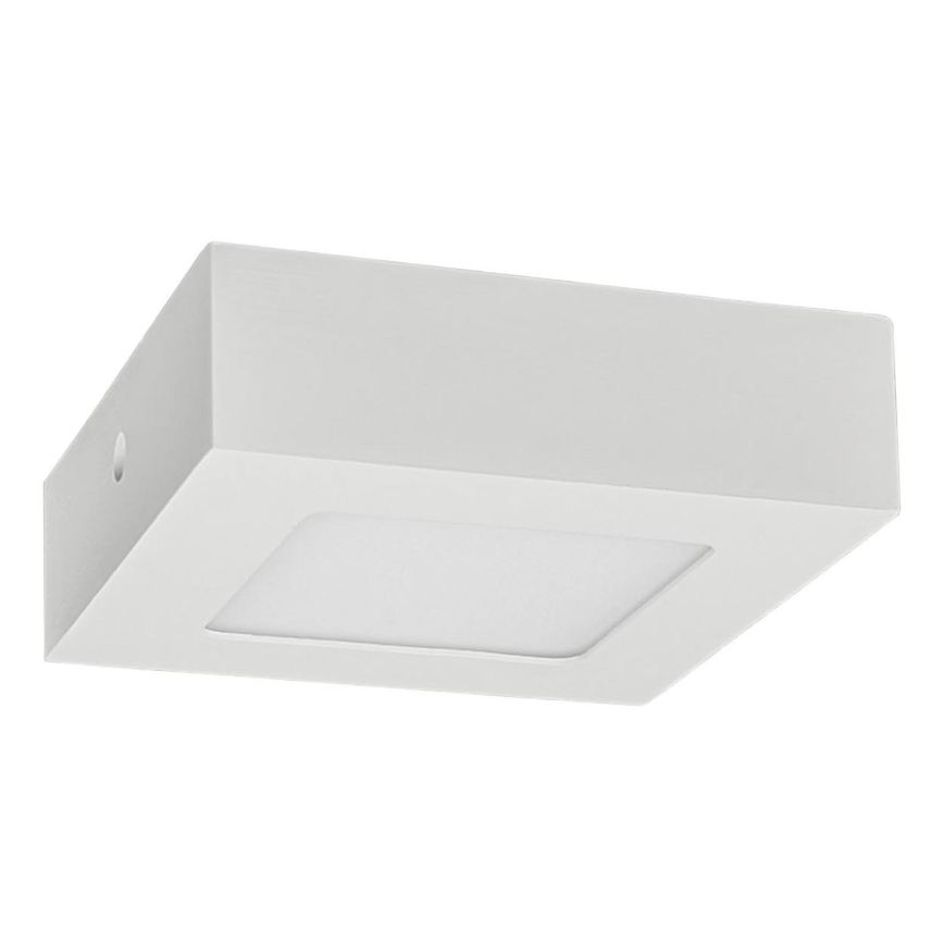LED taklampa FENIX LED/6W/230V 3800K 12 cm