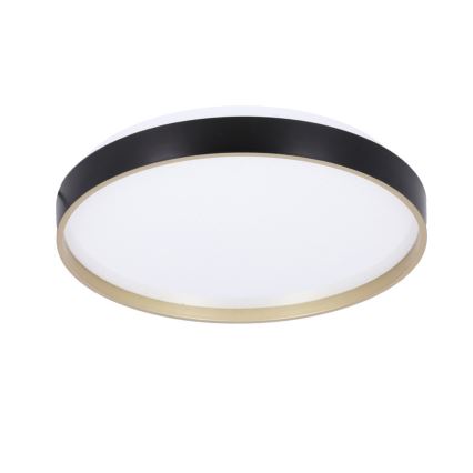 LED taklampa FLORIDA LED/18W/230V svart