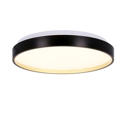 LED taklampa FLORIDA LED/18W/230V svart