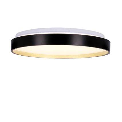 LED taklampa FLORIDA LED/18W/230V svart