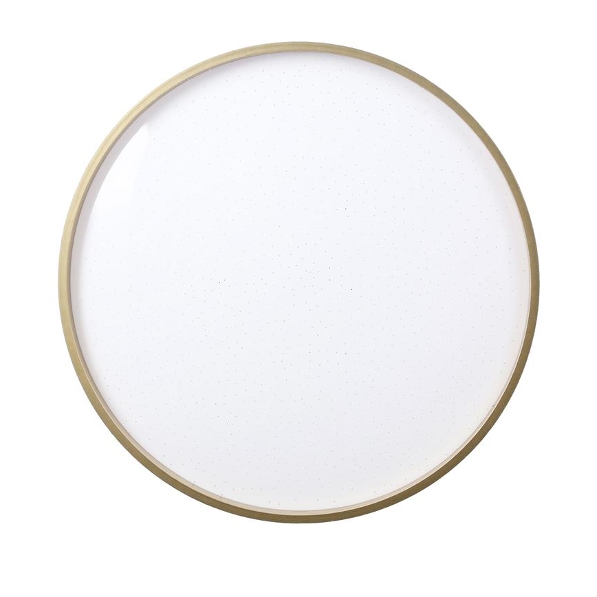 LED taklampa FLORIDA LED/18W/230V svart
