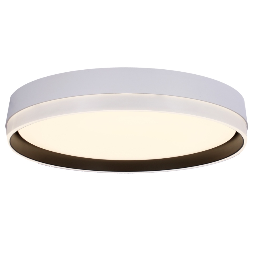 LED taklampa FLORIDA LED/24W/230V vit
