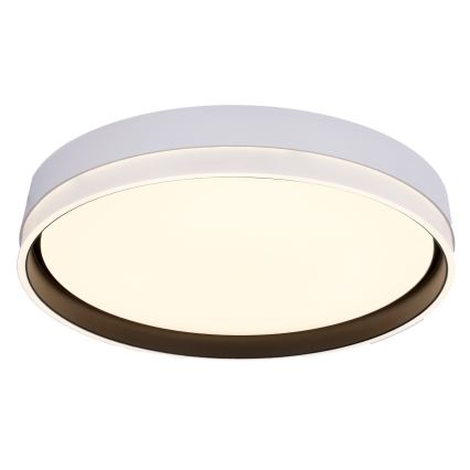 LED taklampa FLORIDA LED/24W/230V vit