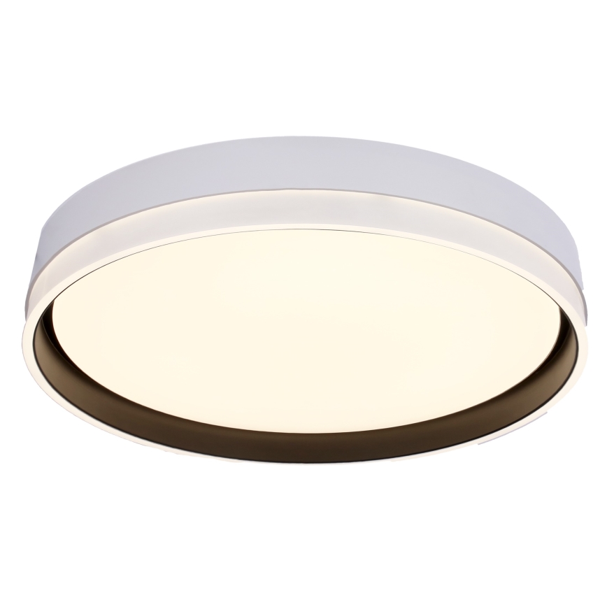 LED taklampa FLORIDA LED/24W/230V vit