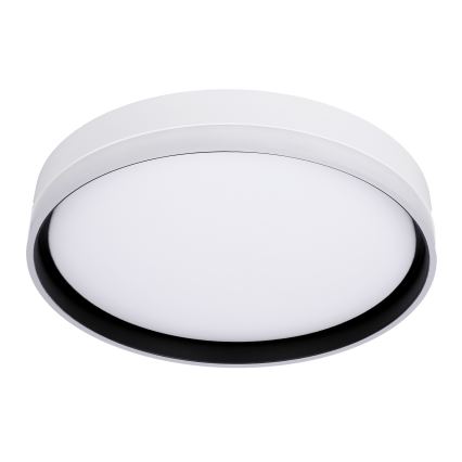 LED taklampa FLORIDA LED/24W/230V vit