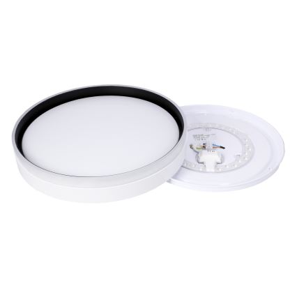 LED taklampa FLORIDA LED/24W/230V vit