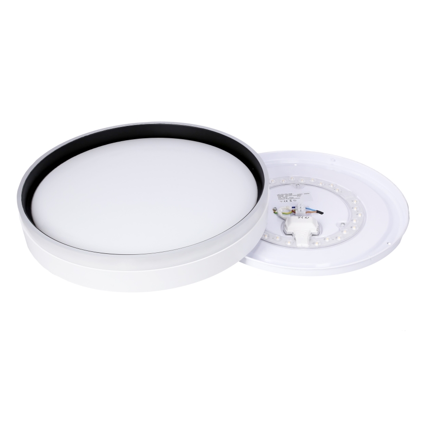 LED taklampa FLORIDA LED/24W/230V vit