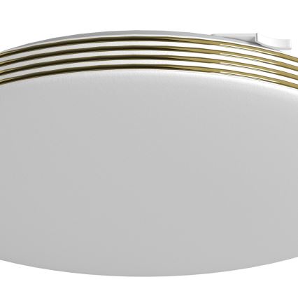 LED taklampa för badrum BEVER LED/10W/230V 4000K diameter 26 cm IP44