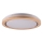 LED taklampa för badrum DAREK LED/24W/230V diameter 39 cm IP44 ek