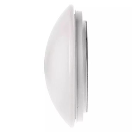 LED taklampa för badrum LED/12W/230V IP44