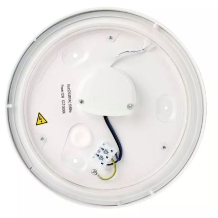 LED taklampa för badrum LED/12W/230V IP44