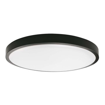 LED taklampa för badrum LED/18W/230V 4000K IP44 svart