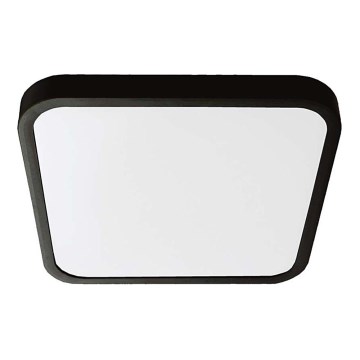 LED taklampa för badrum LED/18W/230V 4000K IP44 svart