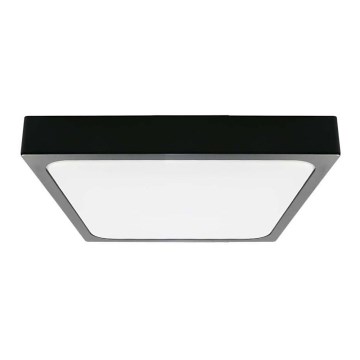 LED taklampa för badrum LED/18W/230V 6500K IP44 svart