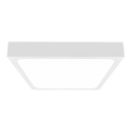 LED taklampa för badrum LED/18W/230V 6500K IP44 vit