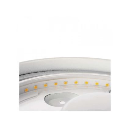 LED taklampa för badrum LED/18W/230V IP44