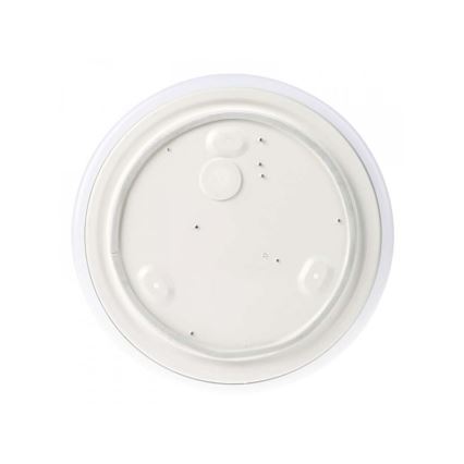 LED taklampa för badrum LED/18W/230V IP44