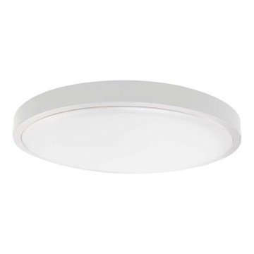 LED taklampa för badrum LED/24W/230V 3000K IP44 vit