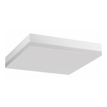 LED taklampa för badrum LED/24W/230V 4000K 28 cm IP44