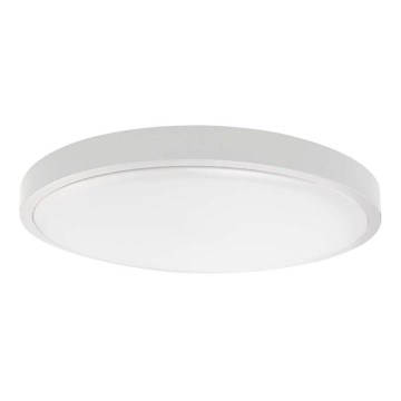 LED taklampa för badrum LED/24W/230V 4000K IP44 vit